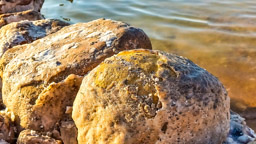 das Tote  Meer hat einen SALZGEHALT von bis zu 28 %